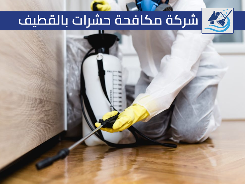 شركة مكافحة حشرات بالقطيف